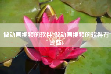 做动画视频的软件(做动画视频的软件有哪些)