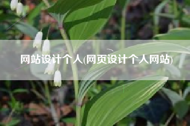 网站设计个人(网页设计个人网站)