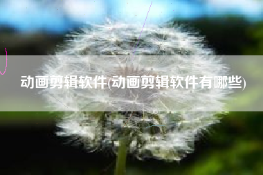 动画剪辑软件(动画剪辑软件有哪些)
