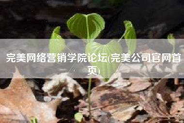 完美网络营销学院论坛(完美公司官网首页)