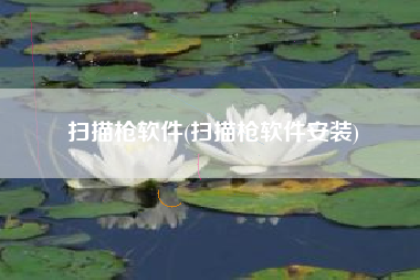扫描枪软件(扫描枪软件安装)