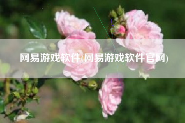 网易游戏软件(网易游戏软件官网)