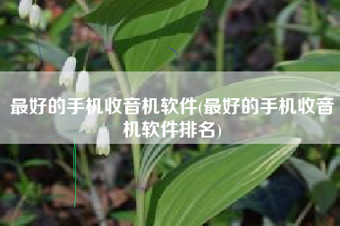 最好的手机收音机软件(最好的手机收音机软件排名)