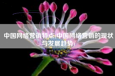 中国网络营销特点(中国网络营销的现状与发展趋势)