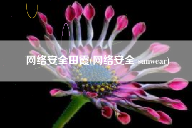 网络安全田霞(网络安全 sunwear)