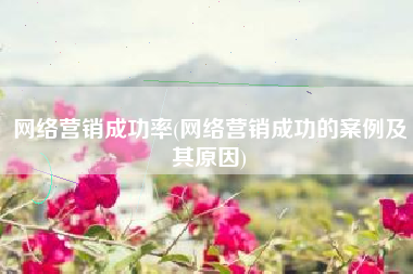 网络营销成功率(网络营销成功的案例及其原因)