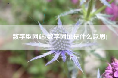 数字型网站(数字网址是什么意思)