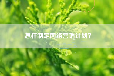 怎样制定网络营销计划？
