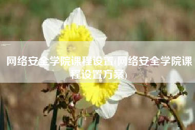 网络安全学院课程设置(网络安全学院课程设置方案)