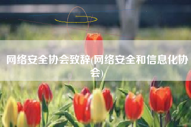 网络安全协会致辞(网络安全和信息化协会)