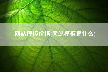 网站模板价格(网站模板是什么)