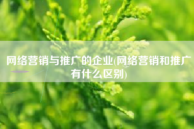 网络营销与推广的企业(网络营销和推广有什么区别)