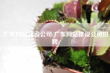 广东网站建设公司(广东网站建设公司招聘)