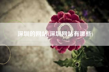 深圳的网站(深圳网站有哪些)
