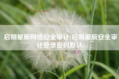 启明星辰网络安全审计(启明星辰安全审计登录密码默认)