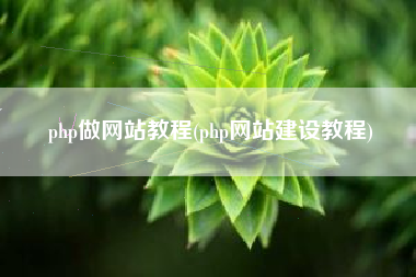 php做网站教程(php网站建设教程)