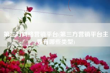 第三方网络营销平台(第三方营销平台主要有哪些类型)