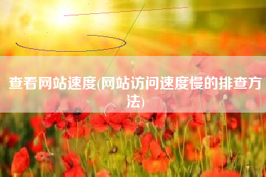查看网站速度(网站访问速度慢的排查方法)