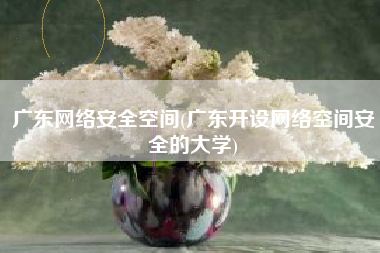 广东网络安全空间(广东开设网络空间安全的大学)