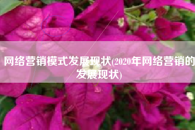 网络营销模式发展现状(2020年网络营销的发展现状)