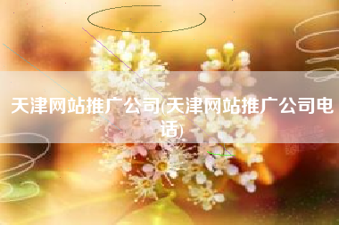 天津网站推广公司(天津网站推广公司电话)