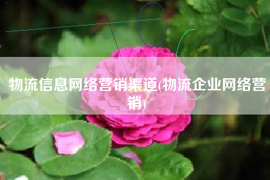 物流信息网络营销渠道(物流企业网络营销)