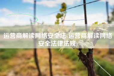 运营商解读网络安全法(运营商解读网络安全法律法规)