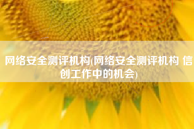网络安全测评机构(网络安全测评机构 信创工作中的机会)
