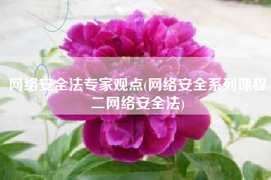 网络安全法专家观点(网络安全系列课程二网络安全法)