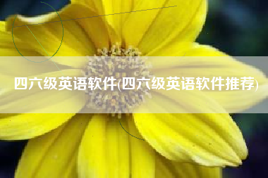 四六级英语软件(四六级英语软件推荐)