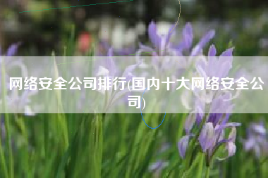 网络安全公司排行(国内十大网络安全公司)
