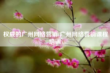 权威的广州网络营销(广州网络营销课程培训)