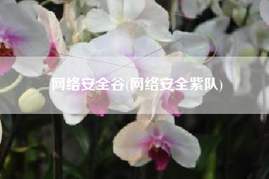 网络安全谷(网络安全紫队)