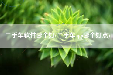 二手车软件哪个好(二手车app哪个好点)