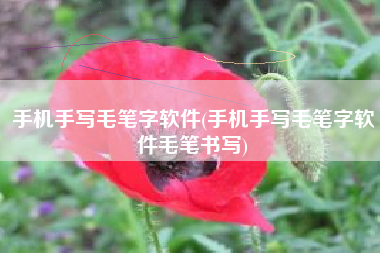 手机手写毛笔字软件(手机手写毛笔字软件毛笔书写)