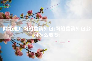 网络推广网络营销外包(网络营销外包公司怎么收费)
