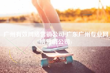 广州有效网络营销公司(广东广州专业网络营销公司)