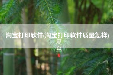 淘宝打印软件(淘宝打印软件质量怎样)