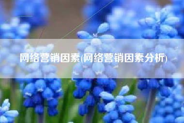 网络营销因素(网络营销因素分析)