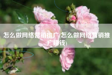 怎么做网络营销推广(怎么做网络营销推广赚钱)