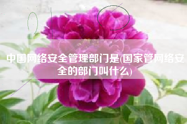 中国网络安全管理部门是(国家管网络安全的部门叫什么)