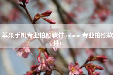 苹果手机专业拍照软件(iphone 专业拍照软件)
