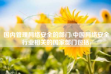 国内管理网络安全的部门(中国网络安全行业相关的国家部门包括)