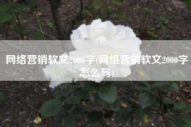 网络营销软文2000字(网络营销软文2000字怎么写)