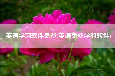 英语学习软件免费(英语免费学的软件)