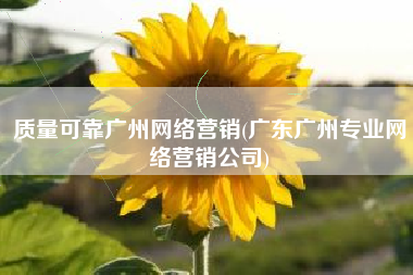 质量可靠广州网络营销(广东广州专业网络营销公司)