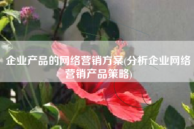 企业产品的网络营销方案(分析企业网络营销产品策略)