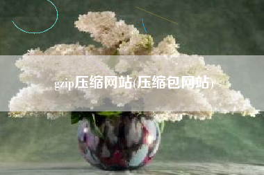 gzip压缩网站(压缩包网站)