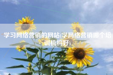 学习网络营销的网站(学网络营销哪个培训机构好)