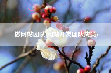 做网站团队(网站开发团队成员)